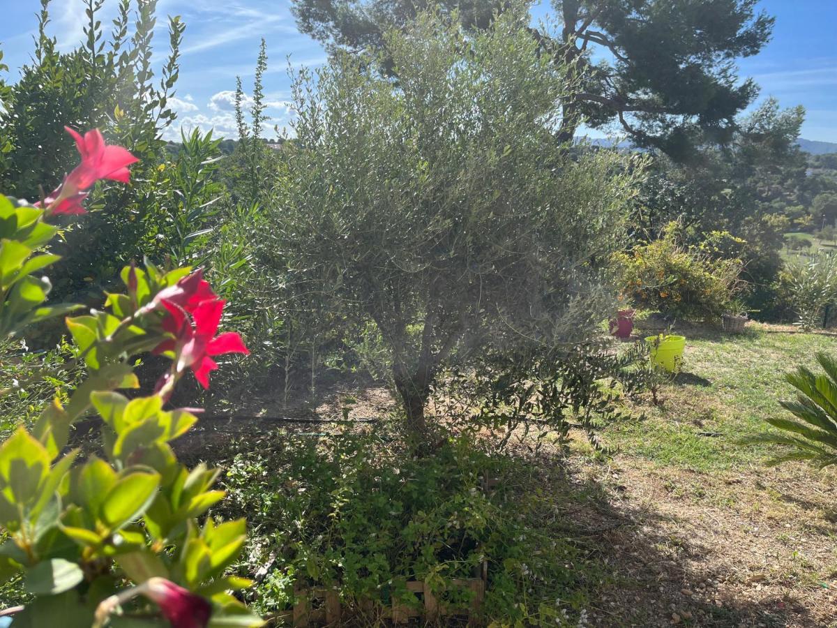 Charme Et Calme Appartement Marseilles Buitenkant foto